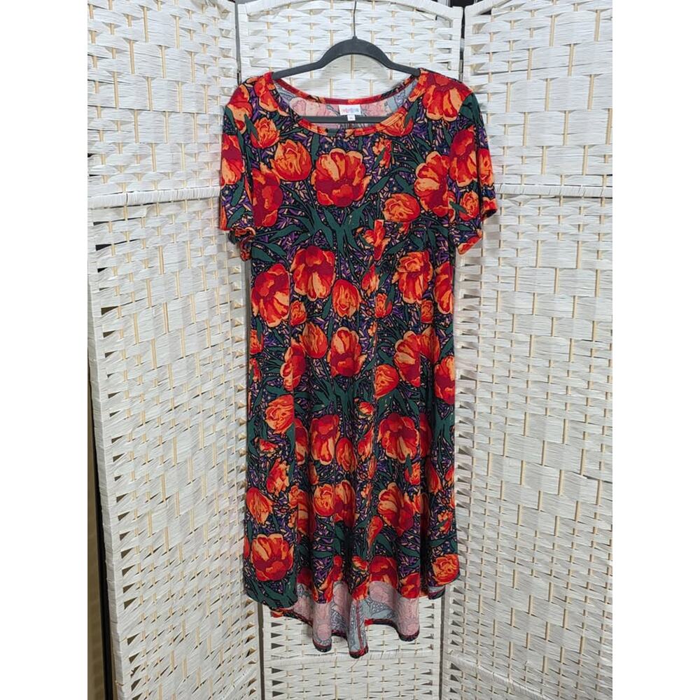 LulaRoe Dress Size XL pre-loved